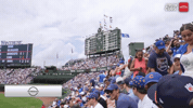 Chicago Cubs Baseball GIF