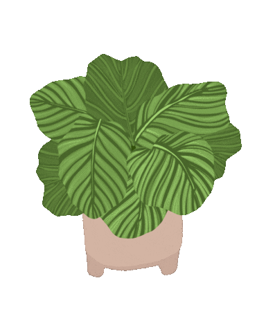 Plants Houseplant Sticker