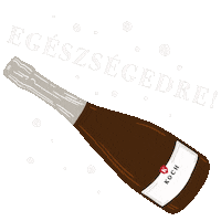 Wine Champagne Sticker by Koch Borászat