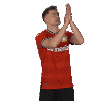 Well Done Applause Sticker by Bayer 04 Leverkusen