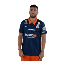Allez Go Sticker by MHSC