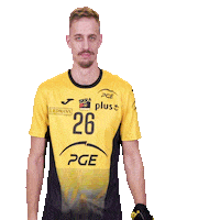 Fan Yes Sticker by PGE Skra Bełchatów
