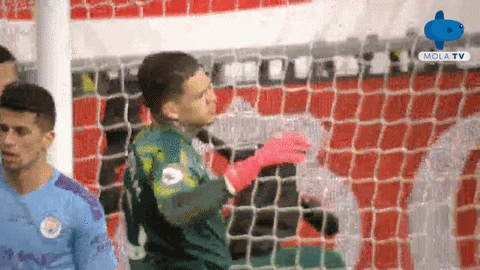 Disappointed Premier League GIF by MolaTV