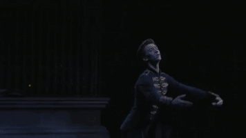 swan lake dancing GIF