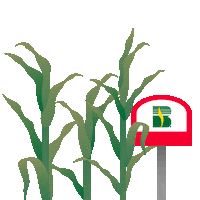 Corn Becks Sticker by Beck's Hybrids