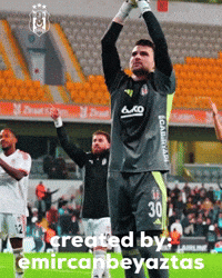 Goalkeeper Ersin GIF