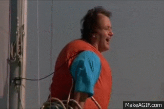 kateylong-ferenzi giphyupload GIF