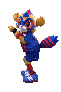 Football Tokyo Sticker by FC東京