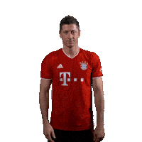 Robert Lewandowski Love Sticker by FC Bayern Munich