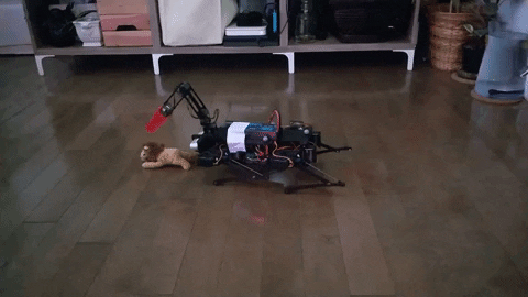 fgolemo giphyupload GIF