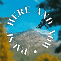 M-a-ex nature canada calm meditation GIF
