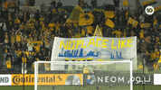 World Cup Soccer GIF by Football Australia
