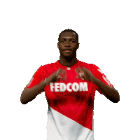 Ligue 1 Football Sticker by AS Monaco