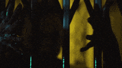 I Wish GIF by The Kid LAROI.