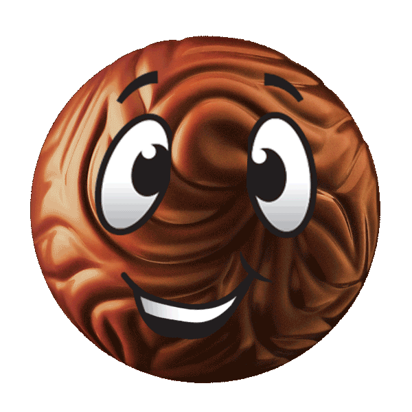 Chocolate Felizhoje Sticker by Cacau Show