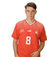 Switzerland Suisse Sticker by Swiss Football Association