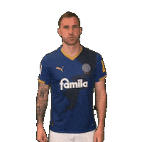 2 Bundesliga Football Sticker by Holstein Kiel