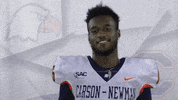 Carson Newman Football GIF by Carson-Newman Athletics