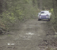 Crashing Bad Luck GIF by FIA World Rally Championship