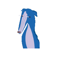 ParisInSydney meme dog no blue Sticker