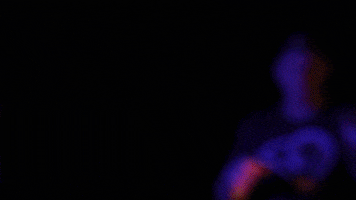 Los Angeles Rams Catch GIF by NFL