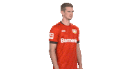 Posing Bayer 04 Sticker by Bundesliga