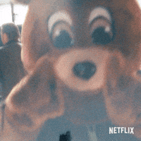 Hip Hop Reaction GIF by NETFLIX