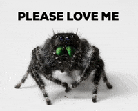 NHMLAC love nature green black GIF