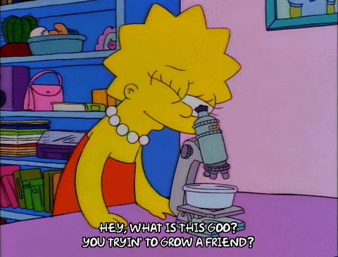 bart simpson science experiment GIF