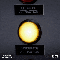 GIF by Miracle Workers