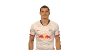 Red Bulls Yes Sticker by Bundesliga