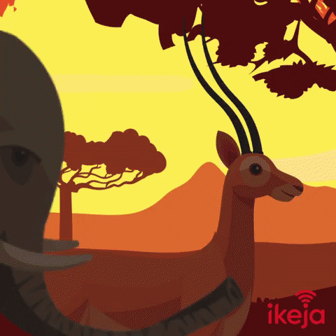 IkejaWireless ikeja ikejawifi ikejawireless GIF
