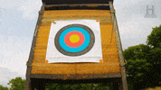 Al Murray Arrow GIF by Sky HISTORY UK