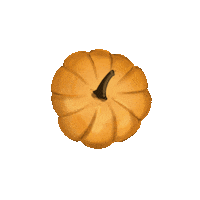Autumn Pumpkin Sticker
