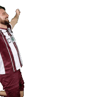 Beck Diver Sticker by BFC Dynamo