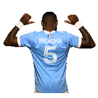 New York City Fc Reaction Sticker by NYCFC
