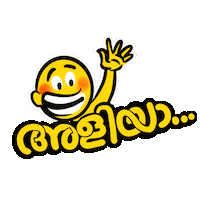 Hey Bro Hello Sticker