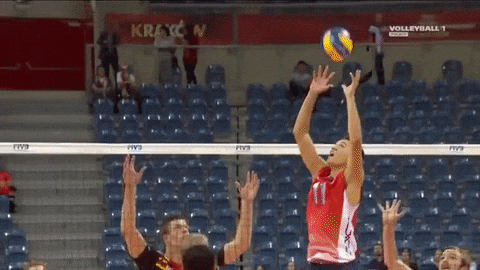 volei em espanhol

DESCRIÇÃO DA IMAGEM: dOIS TIMES MASCULINOS ESTÃO JOGANDO VÔLEI. Holt, jogador de um dos times, está jogando a bola na quadra adversária. 