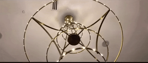 North Carolina Video GIF by Sam Pomerantz
