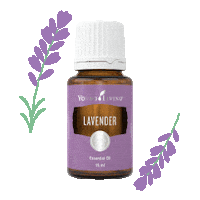 Yleo Essentialoil Sticker by YoungLiving HK