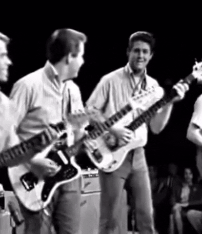 The Beach Boys GIF
