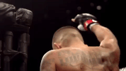 ufc 206 GIF