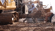 Chainsaw Cutting GIF by JC Property Professionals