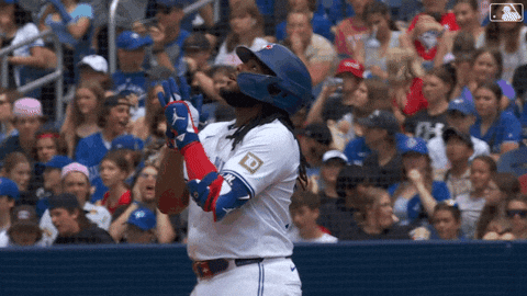 Celebrate Major League Baseball GIF by MLB