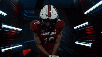 College Football GIF by gamecocksonline