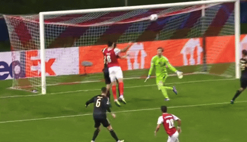 michalraka giphyupload GIF