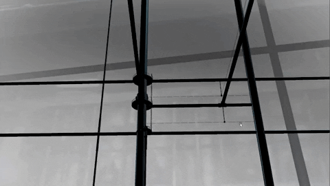 benjaminrp giphygifmaker GIF