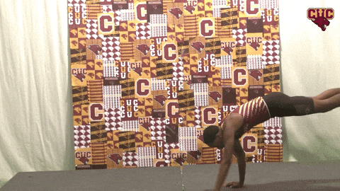 Cuc GIF by CUCougars