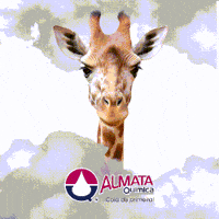 almataquimica almata almataquimica coladeprimeira GIF