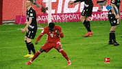 Fun Love GIF by MolaTV